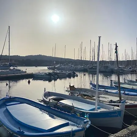Apartment Grand Dans Avec Piscine *