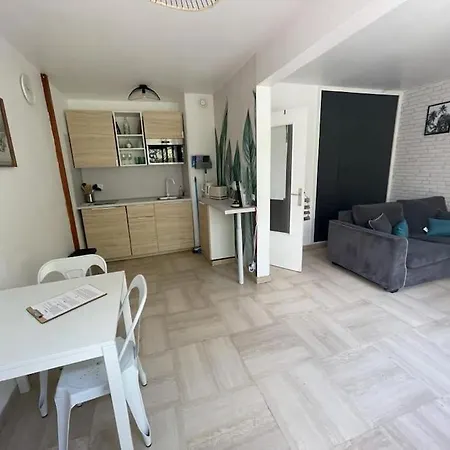 Grand Dans Avec Piscine Apartment Hyeres