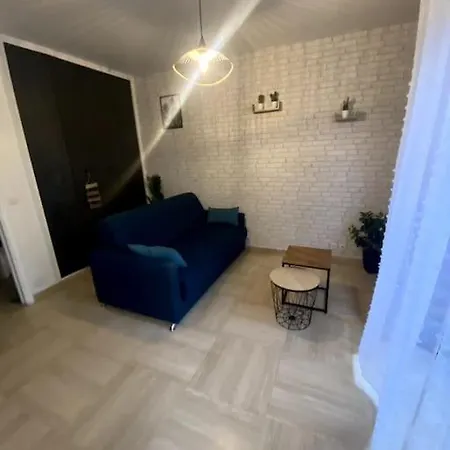 Grand Dans Avec Piscine Apartment Hyeres