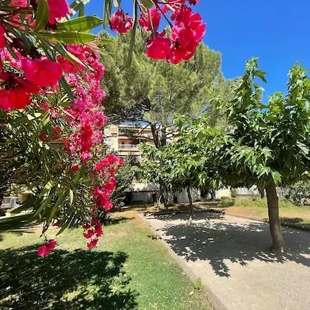 Grand Dans Avec Piscine Hyeres