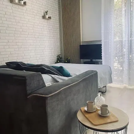 Grand Dans Avec Piscine Apartment Hyeres