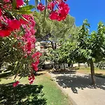 Grand Dans Avec Piscine Hyères