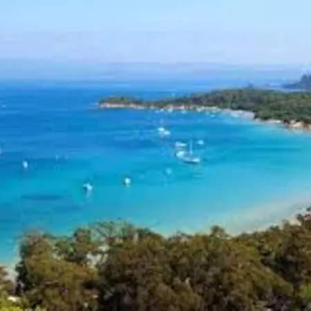 Appartement Grand Dans Avec Piscine