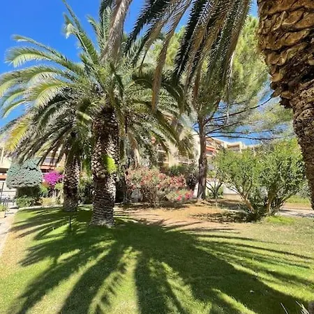 Grand Dans Avec Piscine Appartement Hyères