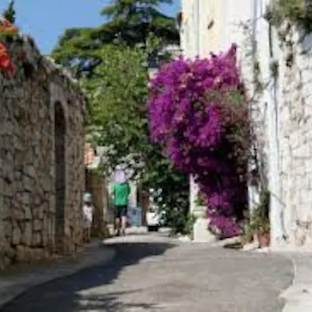 Appartement Grand Dans Avec Piscine