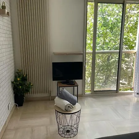 Appartement Grand Dans Avec Piscine Hyères