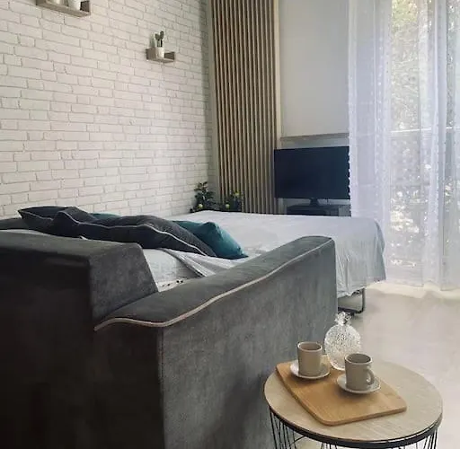 Grand Dans Avec Piscine 아파트 히에레